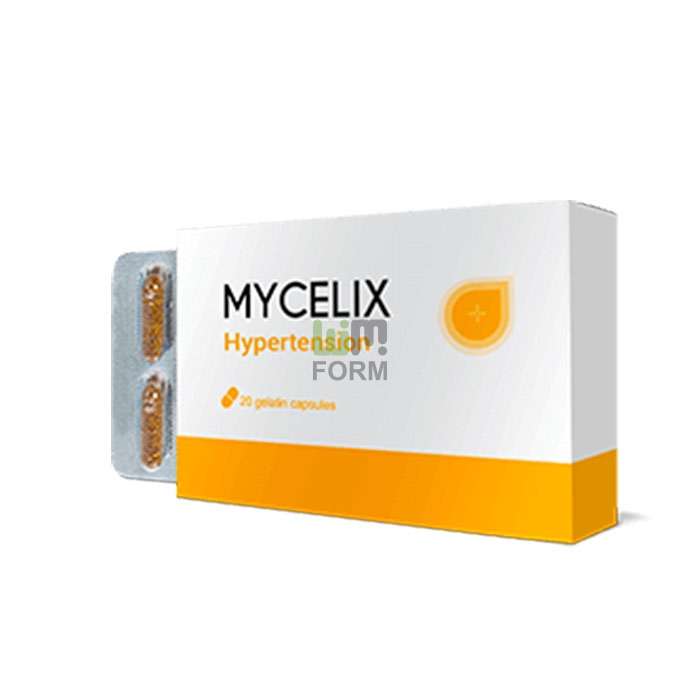 Mycelix remediu pentru hipertensiune